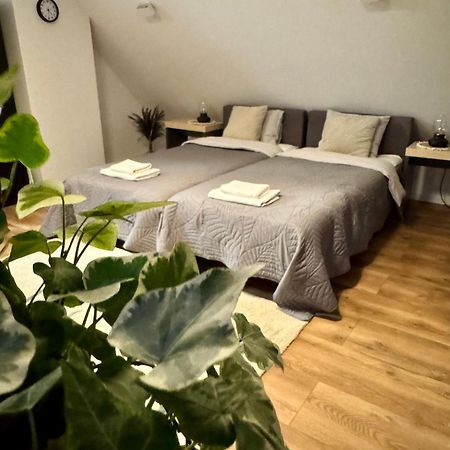 Apartamenty Astor - Ksiezycowy シュツァブノ・ズドルイ エクステリア 写真