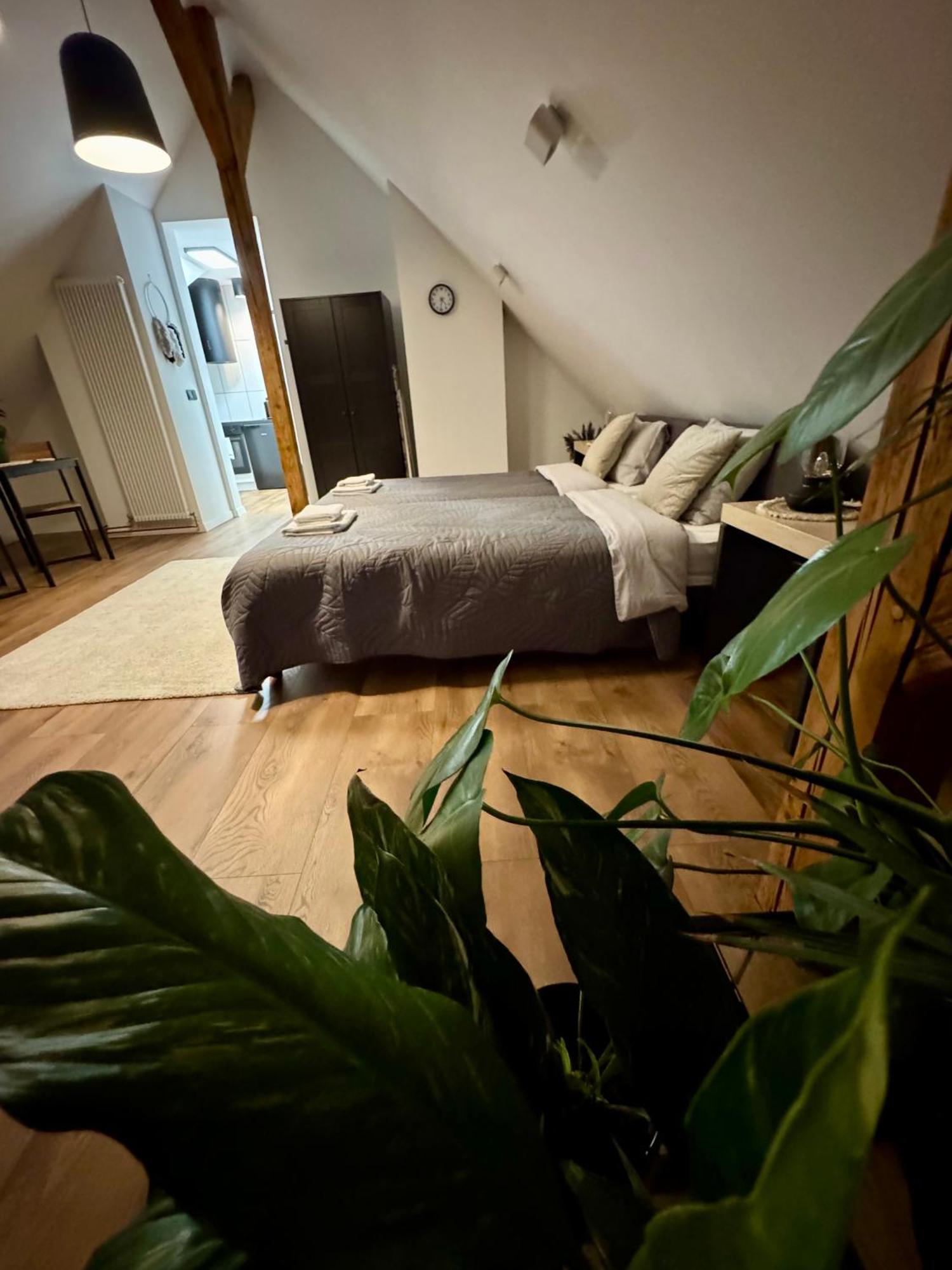 Apartamenty Astor - Ksiezycowy シュツァブノ・ズドルイ エクステリア 写真